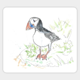 Puffin line drawing Sticker